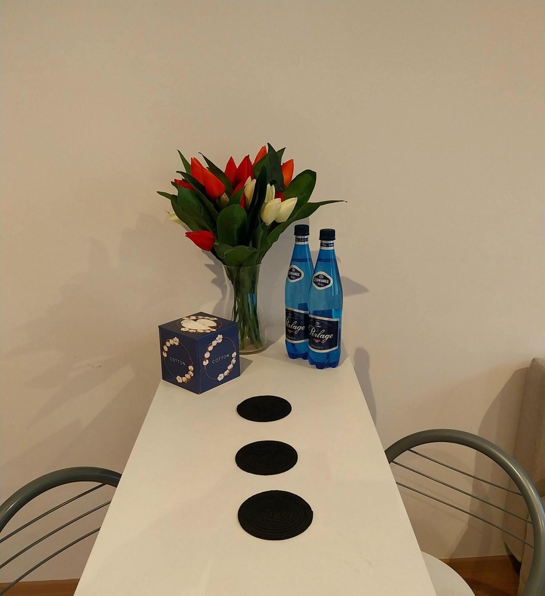 Apartament Srodmiescie プシェムィシル エクステリア 写真